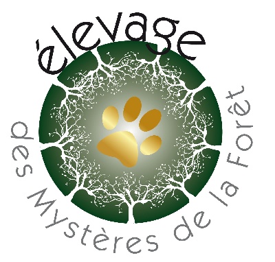 Des Mystères De La Forêt